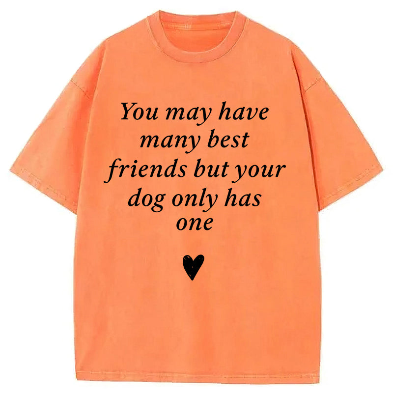 Your Dog Only Has One Washed Unisex Tee