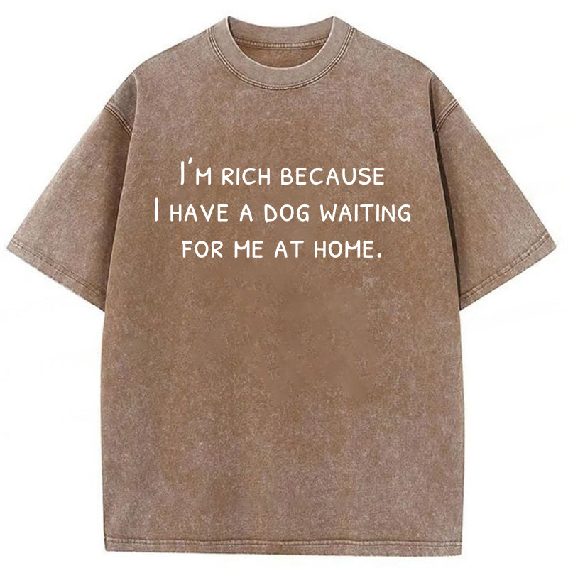 I Have A Dog Waiting For Me At Home Washed Unisex Tee