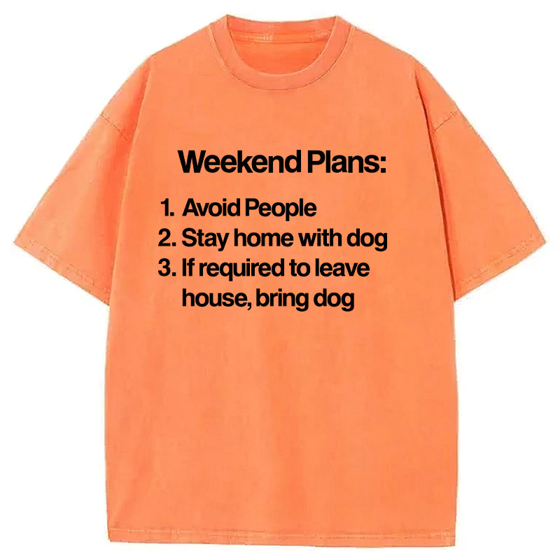 Weekend Plans Washed Unisex Tee