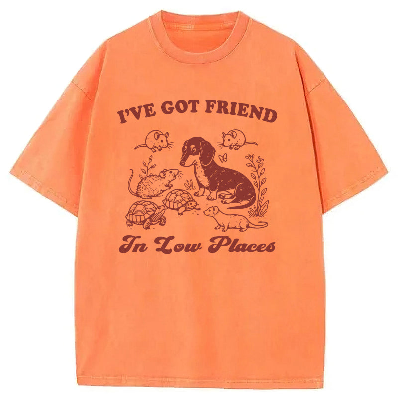 Got Friends In Low Places Washed Unisex Tee