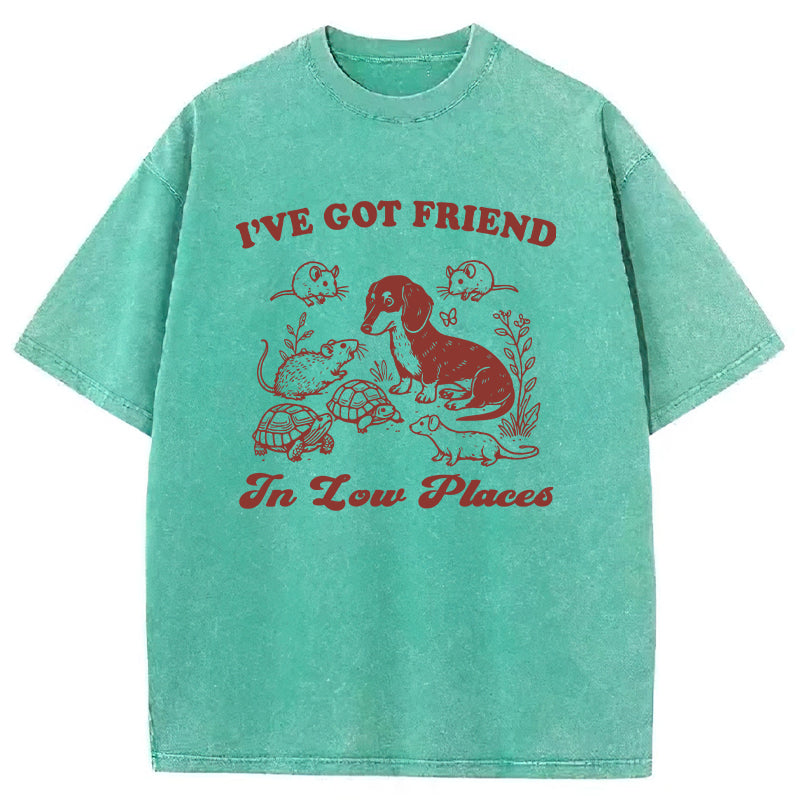 Got Friends In Low Places Washed Unisex Tee