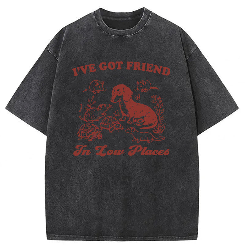 Got Friends In Low Places Washed Unisex Tee