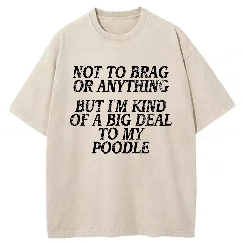 I'm A Big Deal To My Poodle Washed Unisex Tee