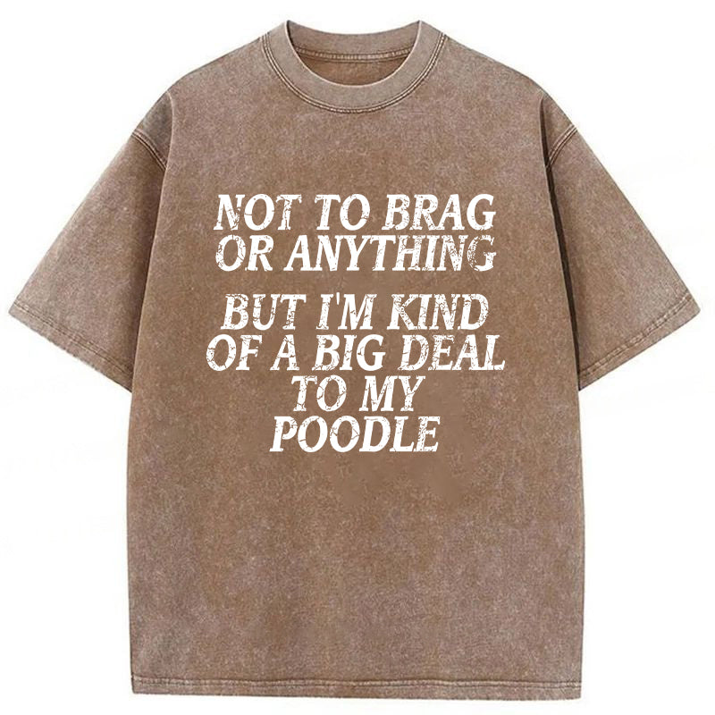 I'm A Big Deal To My Poodle Washed Unisex Tee