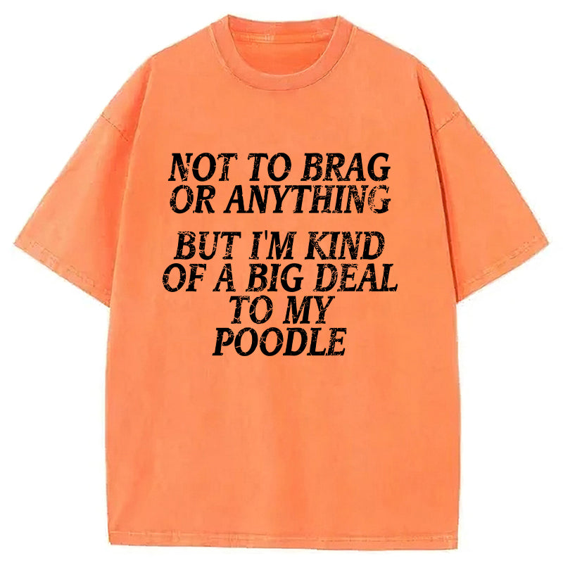 I'm A Big Deal To My Poodle Washed Unisex Tee