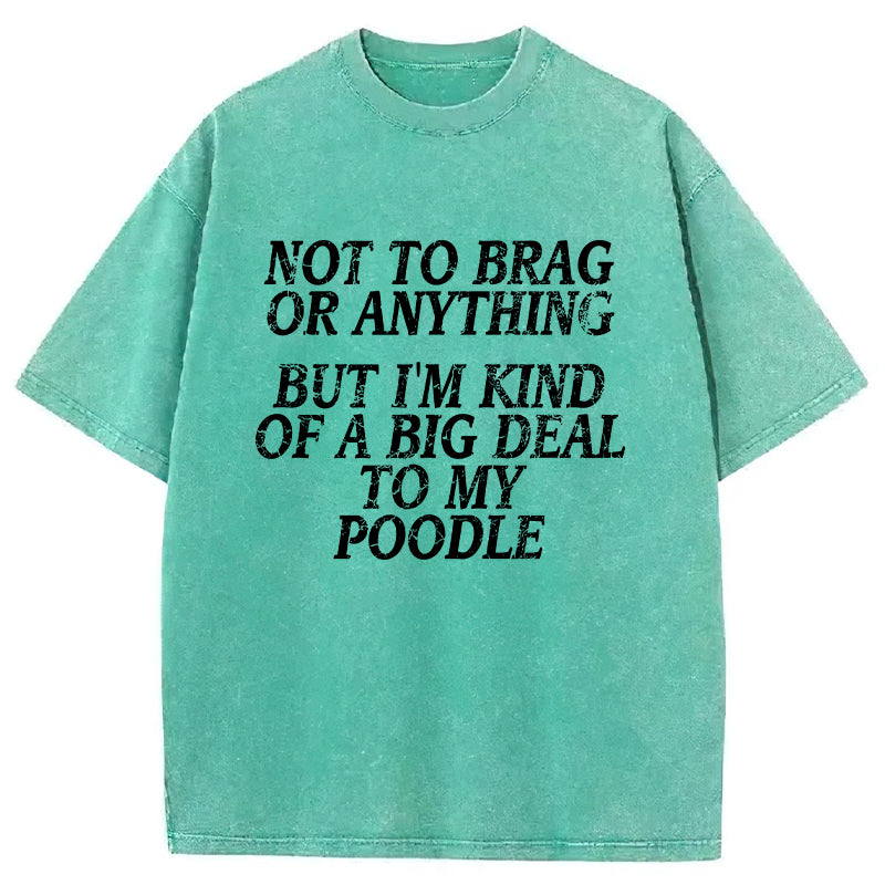 I'm A Big Deal To My Poodle Washed Unisex Tee