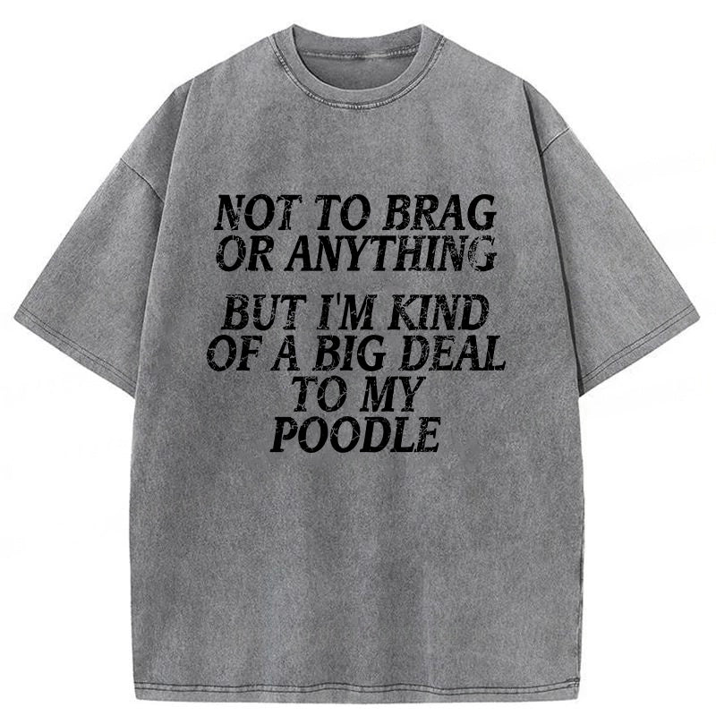 I'm A Big Deal To My Poodle Washed Unisex Tee