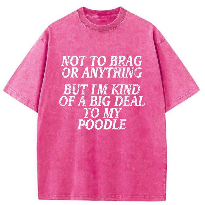 I'm A Big Deal To My Poodle Washed Unisex Tee