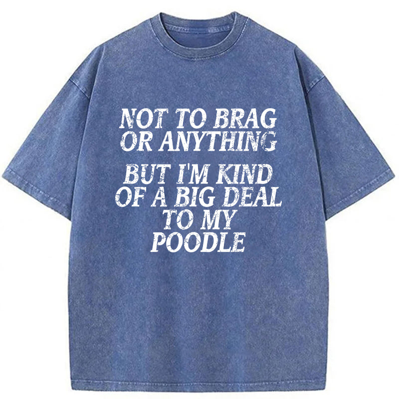 I'm A Big Deal To My Poodle Washed Unisex Tee
