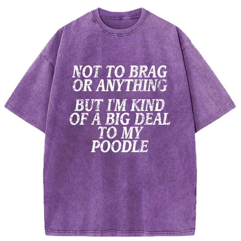 I'm A Big Deal To My Poodle Washed Unisex Tee