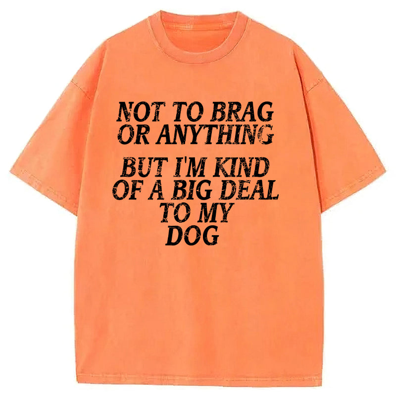 I'm A Big Deal To My Dog Washed Unisex Tee
