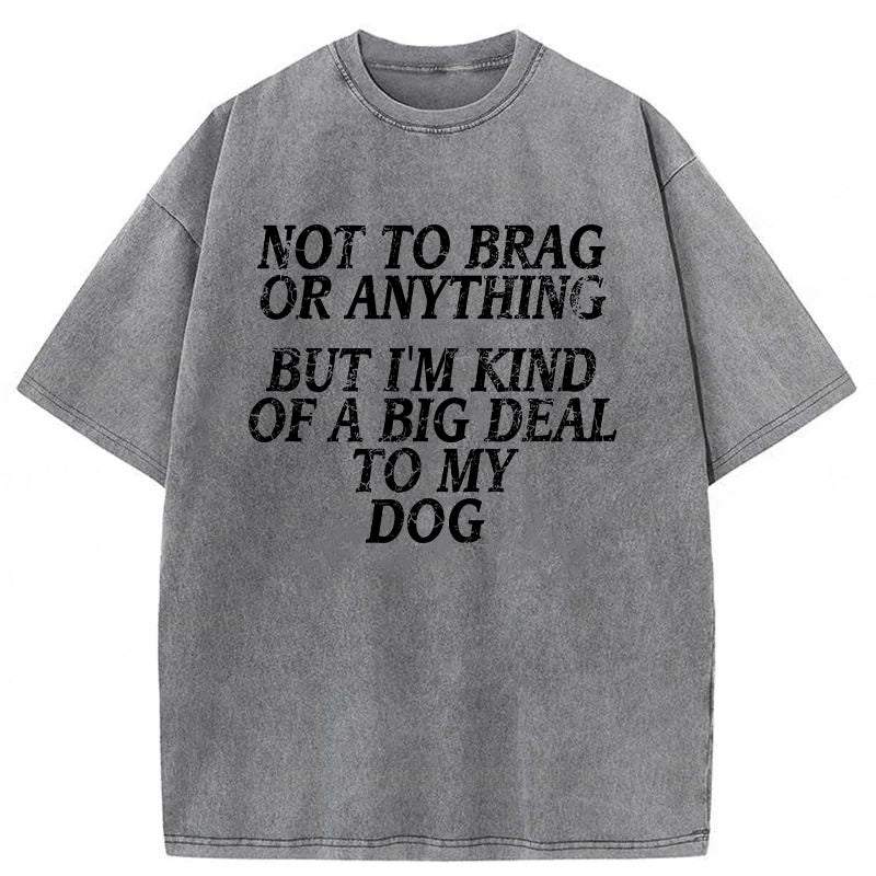 I'm A Big Deal To My Dog Washed Unisex Tee