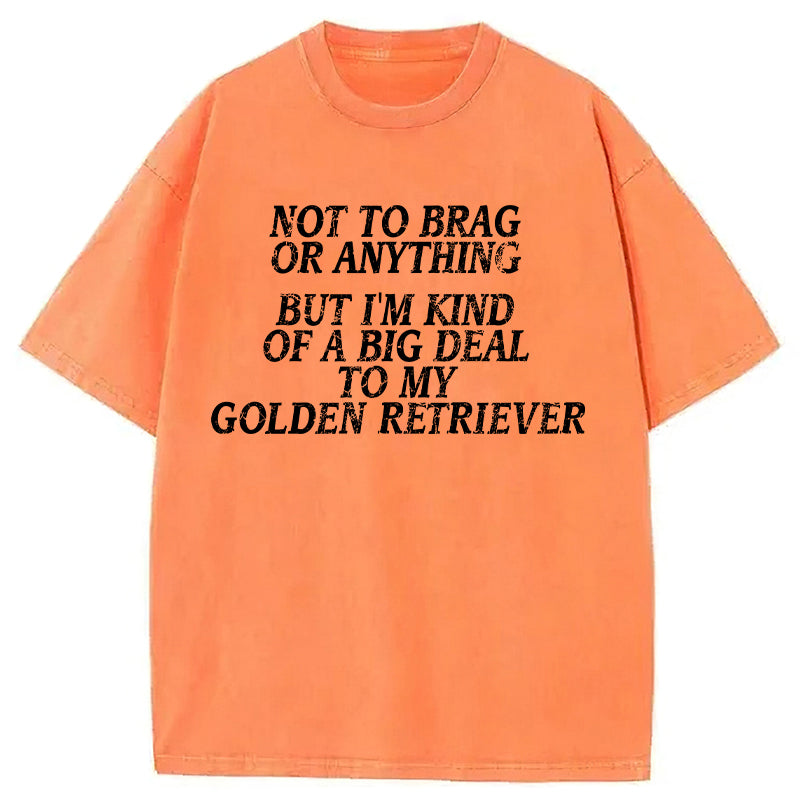 I'm A Big Deal To My Golden Retriever Washed Unisex Tee