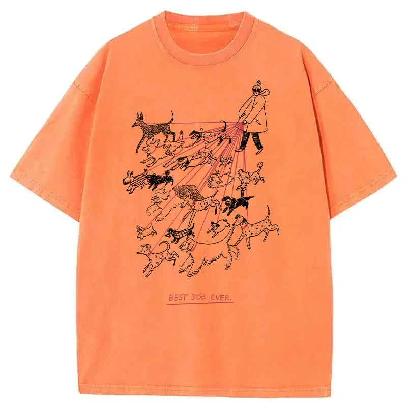 Best Job Ever Washed Unisex Tee
