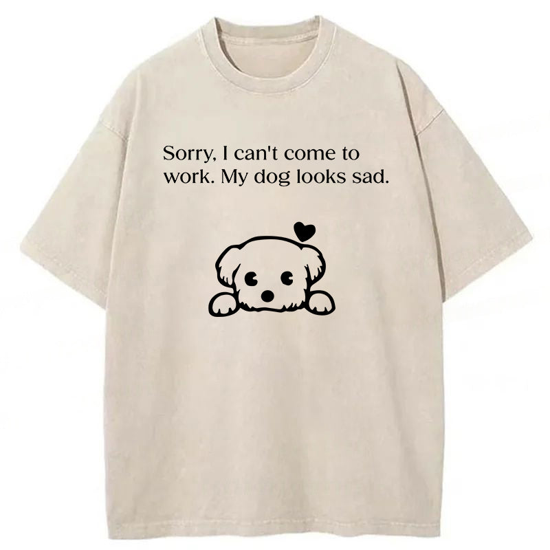 Sorry I Can't Come To Work Washed Unisex Tee