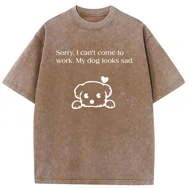 Sorry I Can't Come To Work Washed Unisex Tee