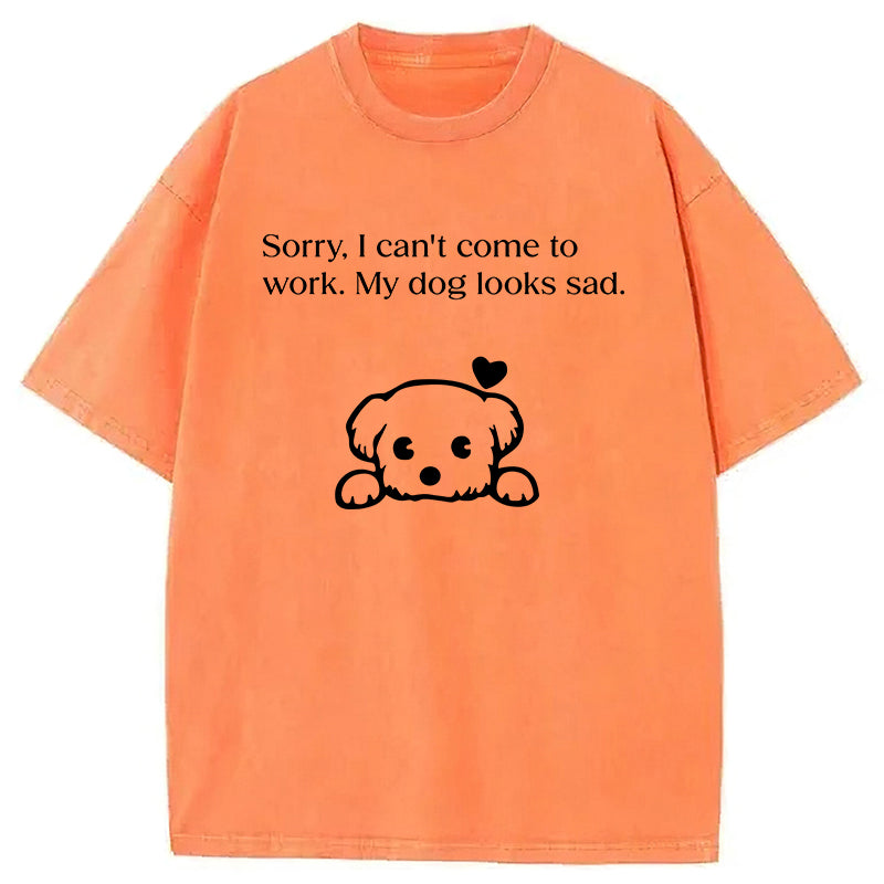 Sorry I Can't Come To Work Washed Unisex Tee