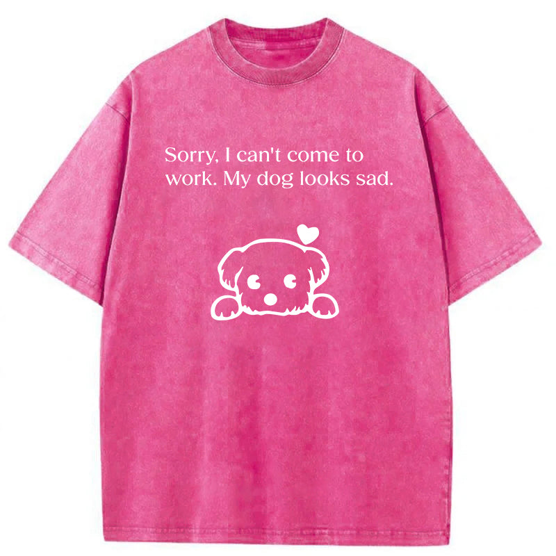 Sorry I Can't Come To Work Washed Unisex Tee