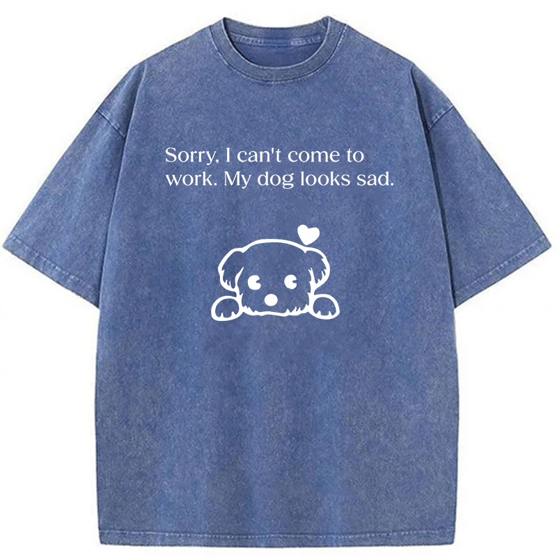 Sorry I Can't Come To Work Washed Unisex Tee
