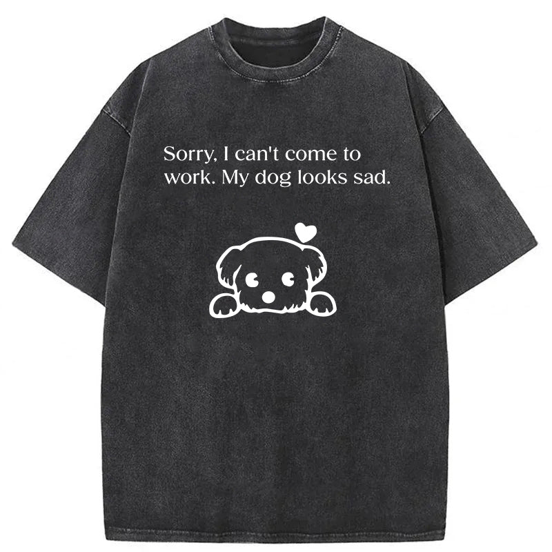 Sorry I Can't Come To Work Washed Unisex Tee