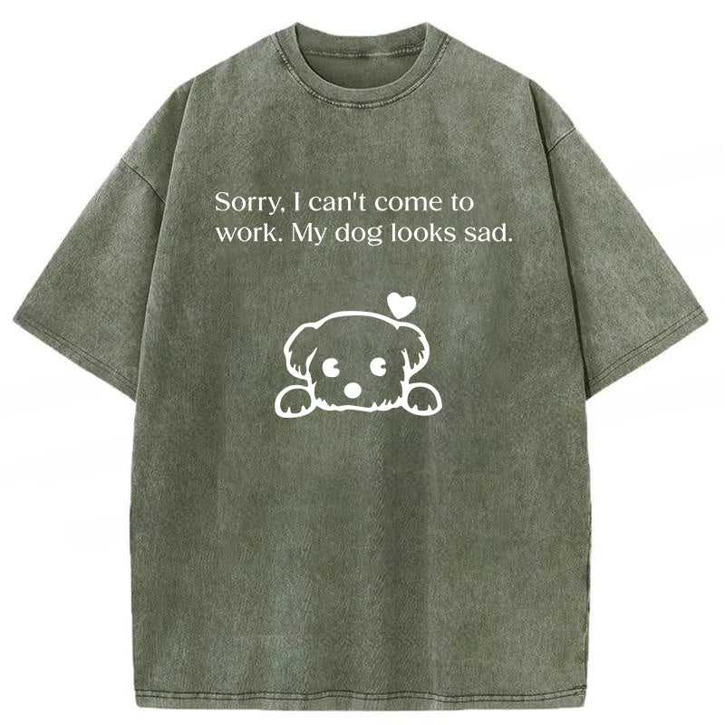 Sorry I Can't Come To Work Washed Unisex Tee
