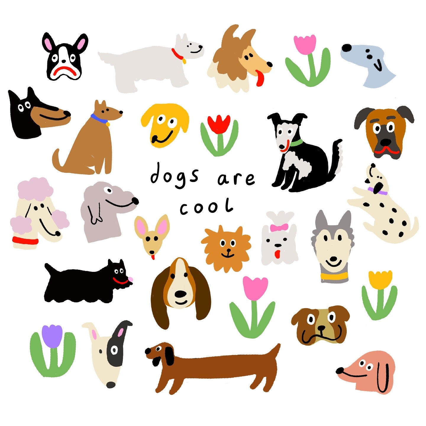 Pawstorywear