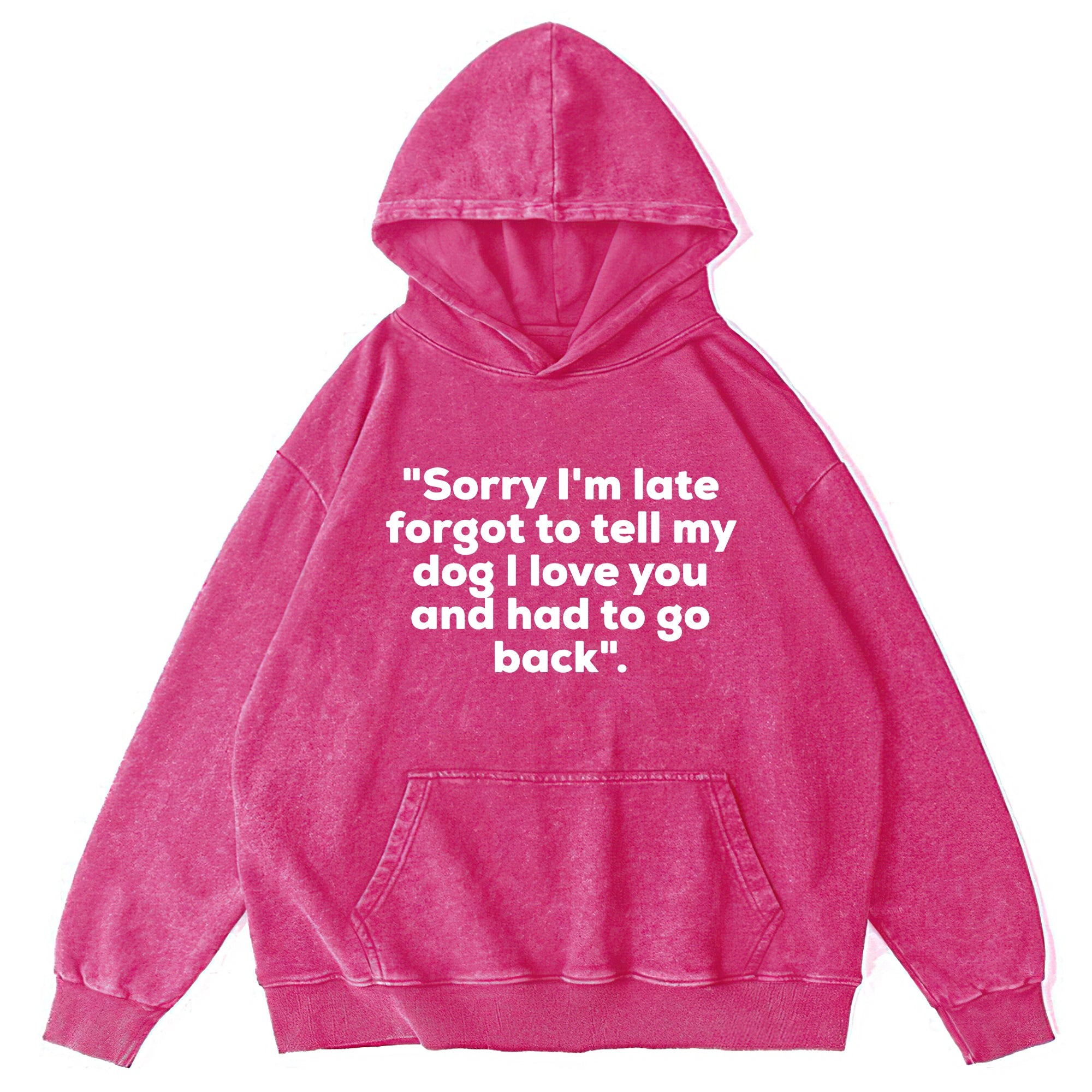 Forgot To Tell My Dog I Love You Washed Unisex Hoodie