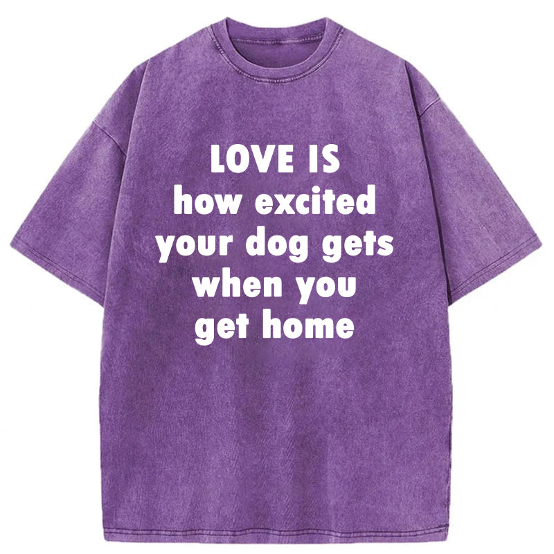 Love Is How Excited Your Dog Gets When You Get Home Washed Unisex Tee