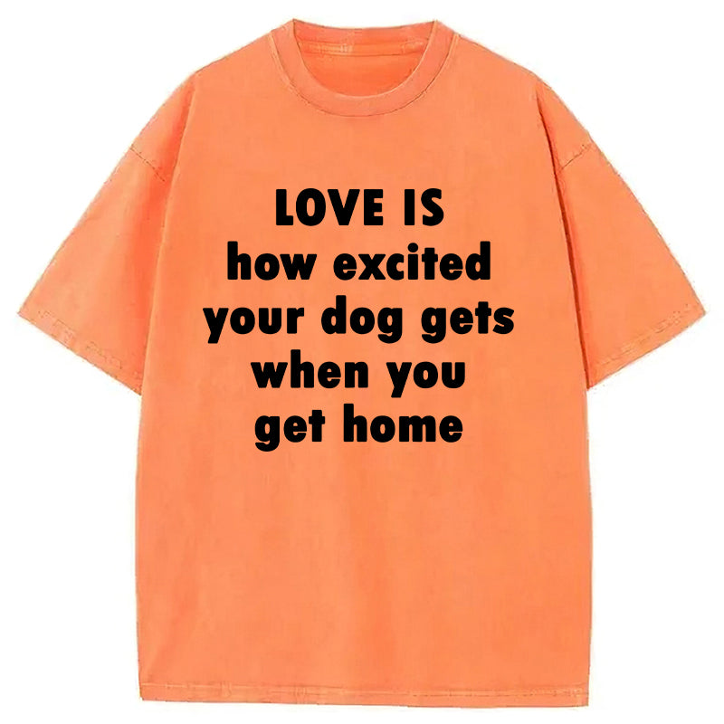 Love Is How Excited Your Dog Gets When You Get Home Washed Unisex Tee