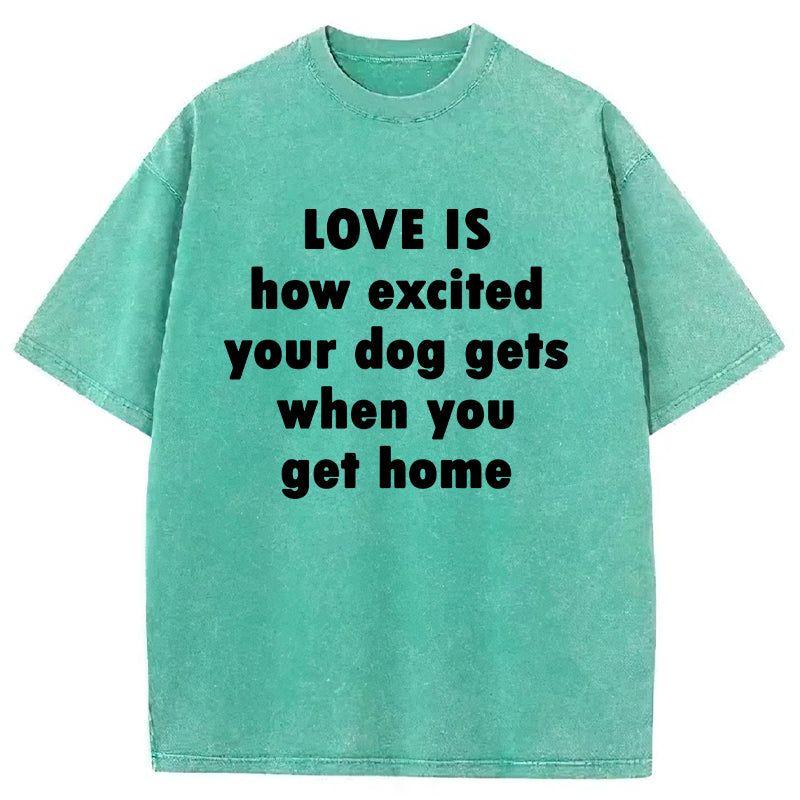 Love Is How Excited Your Dog Gets When You Get Home Washed Unisex Tee