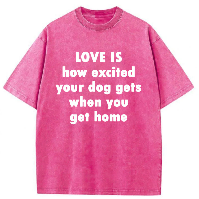 Love Is How Excited Your Dog Gets When You Get Home Washed Unisex Tee