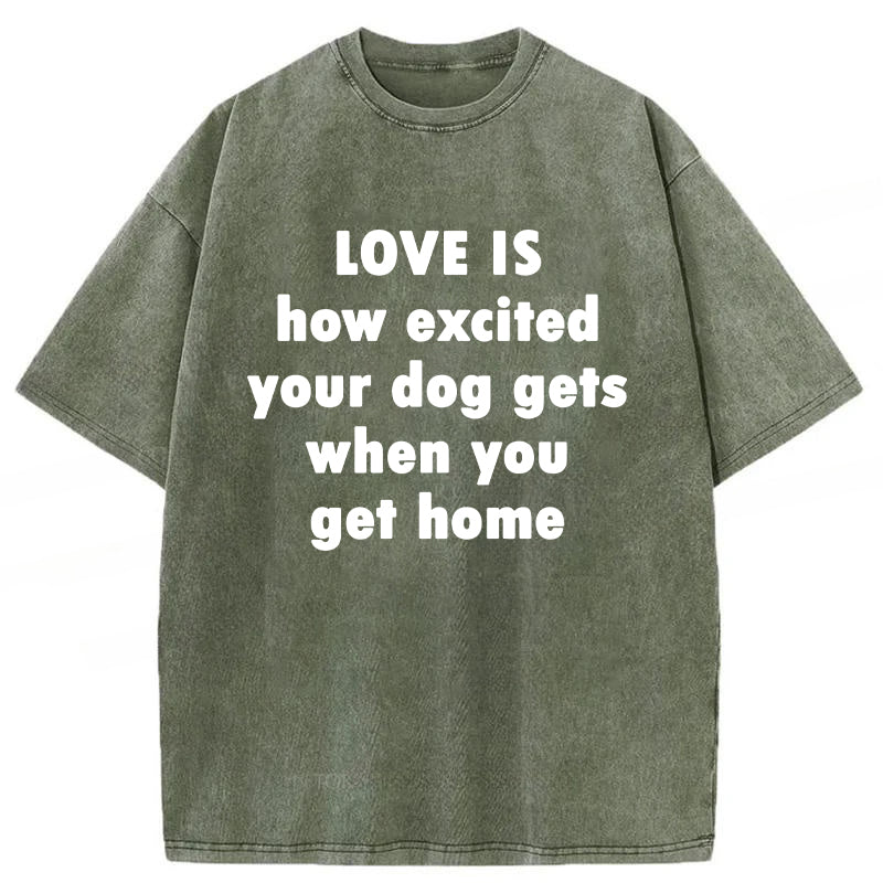 Love Is How Excited Your Dog Gets When You Get Home Washed Unisex Tee