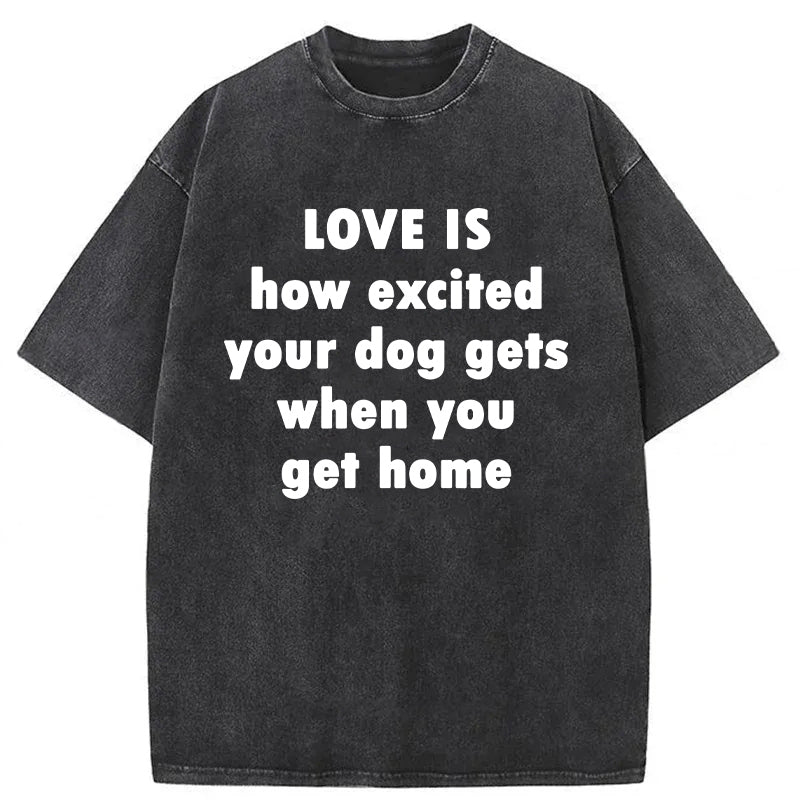Love Is How Excited Your Dog Gets When You Get Home Washed Unisex Tee