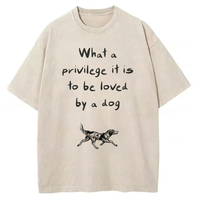 What A Privilege It Is To Be Loved By A Dog Washed Unisex Tee