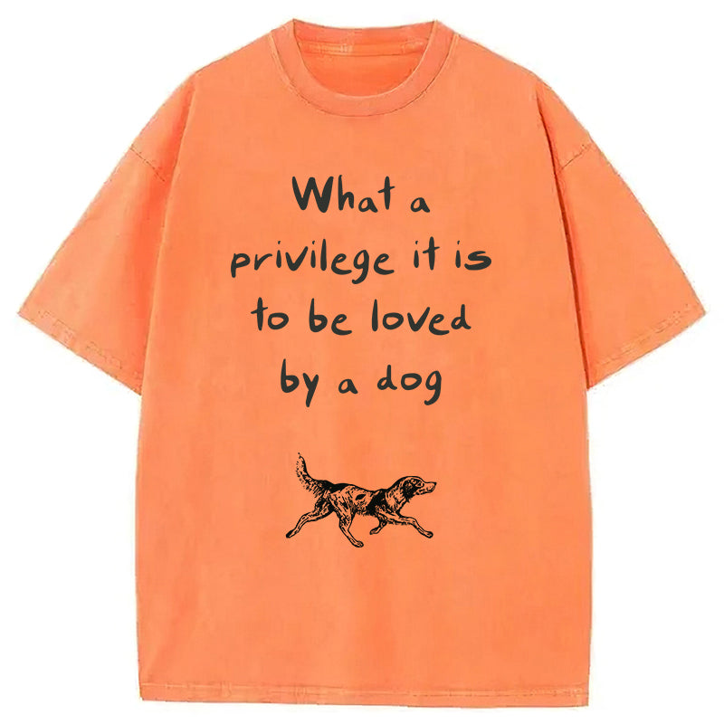 What A Privilege It Is To Be Loved By A Dog Washed Unisex Tee