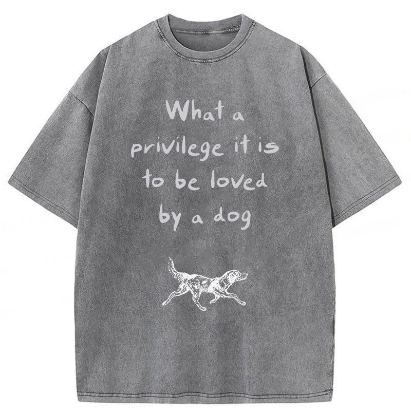 What A Privilege It Is To Be Loved By A Dog Washed Unisex Tee