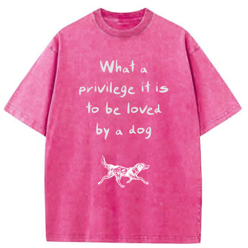 What A Privilege It Is To Be Loved By A Dog Washed Unisex Tee