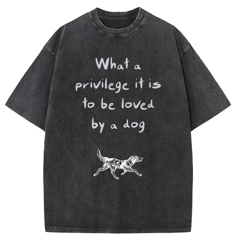 What A Privilege It Is To Be Loved By A Dog Washed Unisex Tee