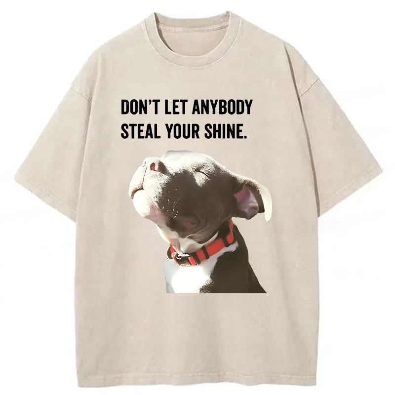 Don't Let Anybody Steal Your Shine Washed Unisex Tee