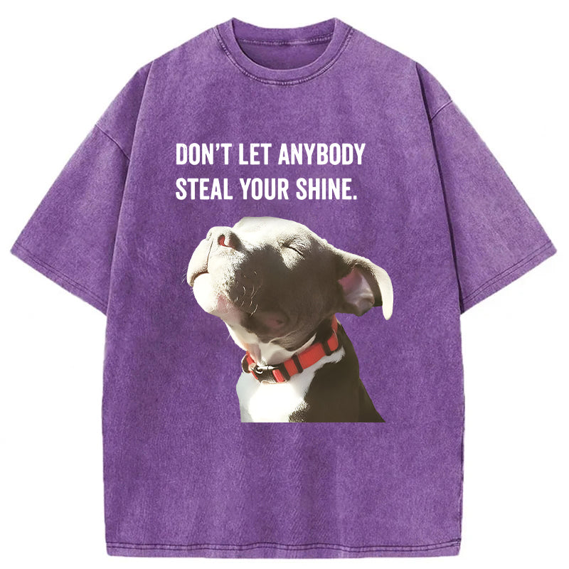 Don't Let Anybody Steal Your Shine Washed Unisex Tee