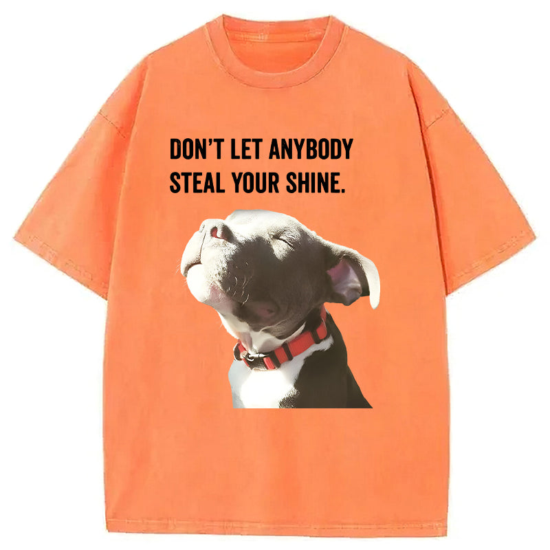 Don't Let Anybody Steal Your Shine Washed Unisex Tee