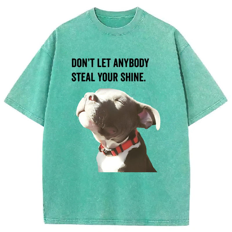 Don't Let Anybody Steal Your Shine Washed Unisex Tee