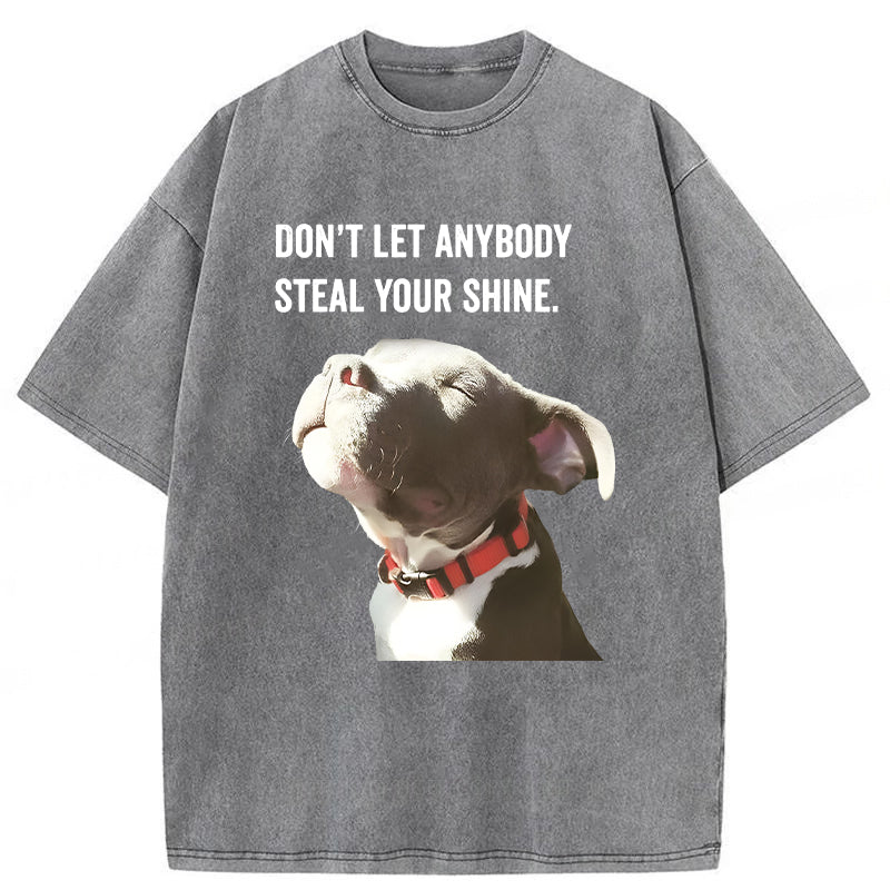 Don't Let Anybody Steal Your Shine Washed Unisex Tee