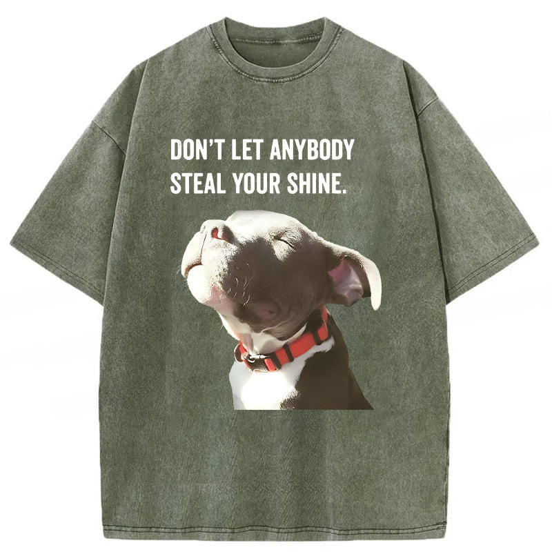 Don't Let Anybody Steal Your Shine Washed Unisex Tee