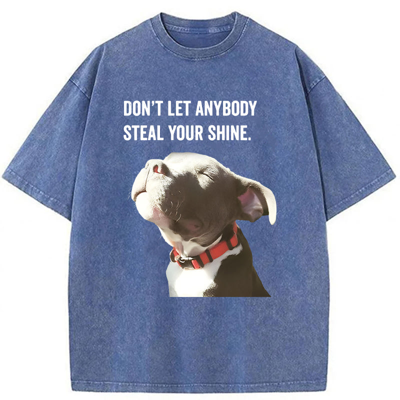 Don't Let Anybody Steal Your Shine Washed Unisex Tee
