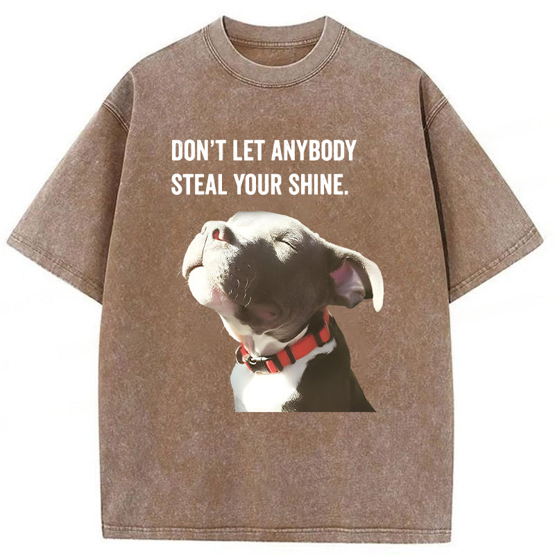 Don't Let Anybody Steal Your Shine Washed Unisex Tee