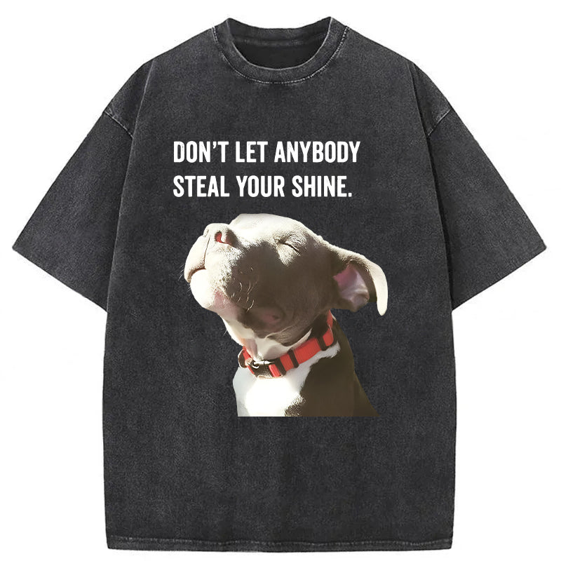 Don't Let Anybody Steal Your Shine Washed Unisex Tee