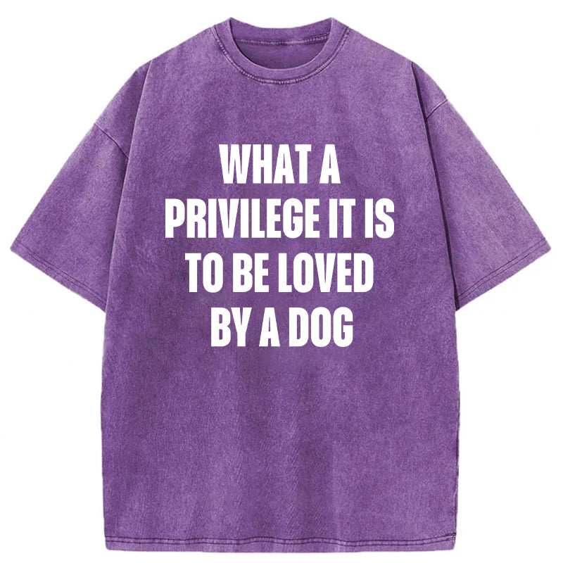 What A Privilege It Is To Be Loved By A Dog Washed Unisex Tee