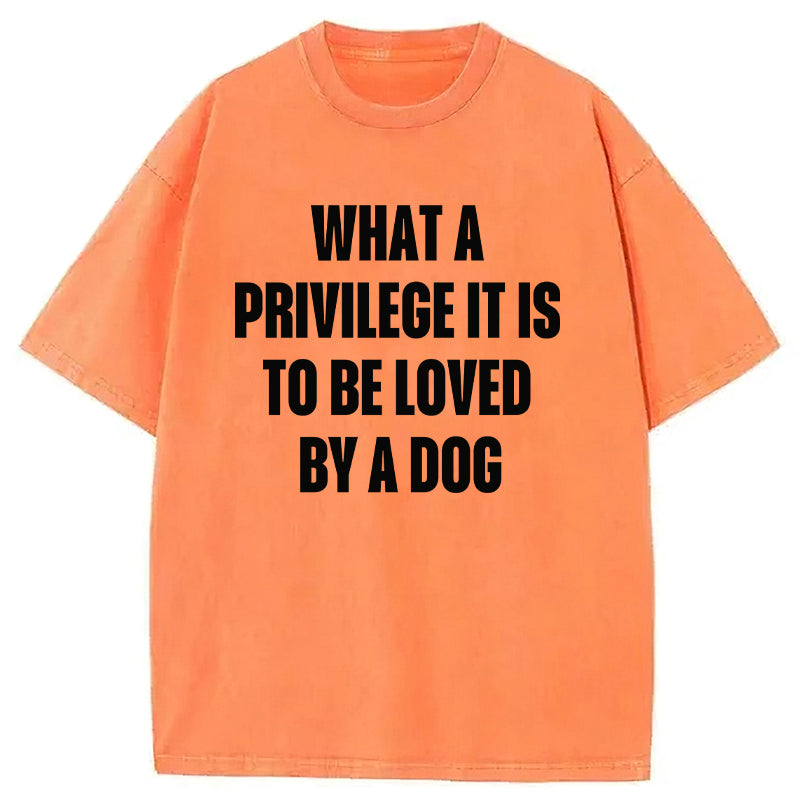 What A Privilege It Is To Be Loved By A Dog Washed Unisex Tee