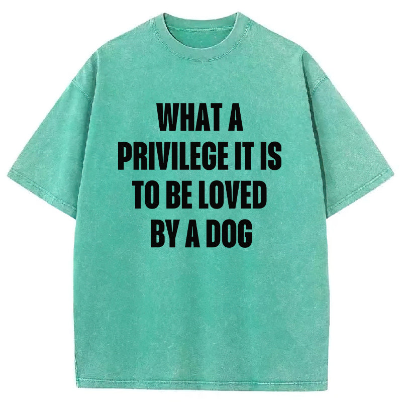 What A Privilege It Is To Be Loved By A Dog Washed Unisex Tee